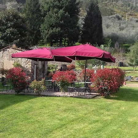 Bed & Breakfast Il Villano Capannori